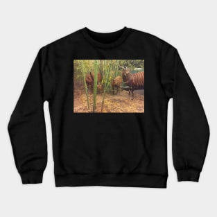Bongos Crewneck Sweatshirt